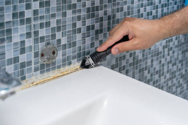  West Springfield, VA Mold Removal Pros
